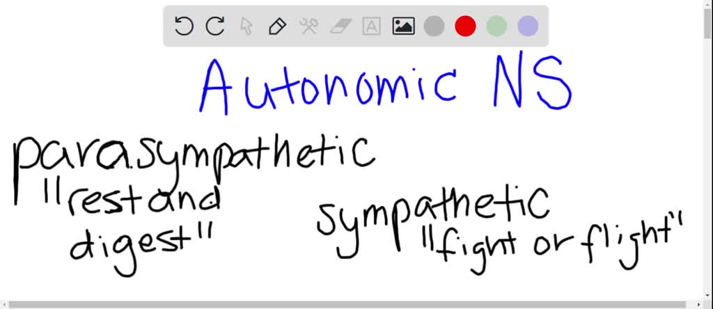 SOLVED:The Sympathetic Nervous System Arouses Us For Action And The ...