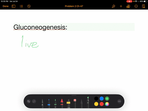 gluconeogenesis-a-occurs-when-the-liver-synthesizes-glucose-from-noncarbohydrate-precursors-b-is-t-2