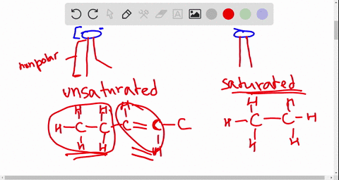 fatty-acids-in-phospholipids-and-triacylglycerols-interact-with-one-another-by-a-disulfide-bridges-3