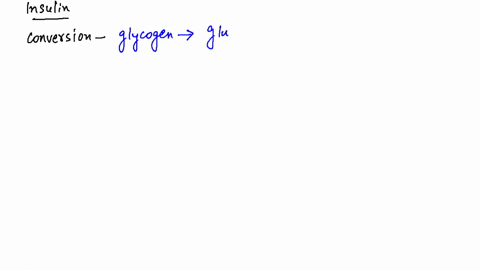which-one-of-the-following-is-not-the-function-of-insulin-a-increases-the-permeability-of-cell-membr