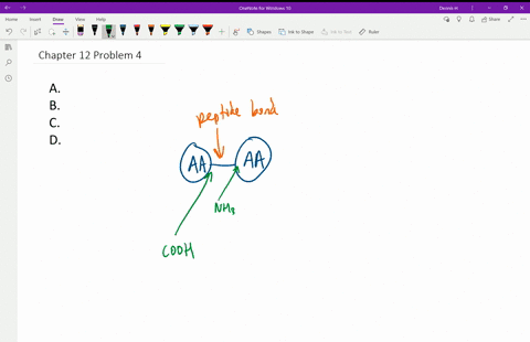 which-of-these-statements-concerning-peptide-bonds-is-false-a-their-formation-involves-a-reaction--2