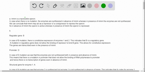 the-mmm-operon-which-has-sequences-a-b-c-and-d-which-may-be-structural-genes-or-regulatory-sequences