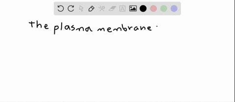 the-________-is-the-plasma-membrane-of-a-muscle-fiber-a-sarcoplasm-b-sarcoplasmic-reticulum-c-sarcol