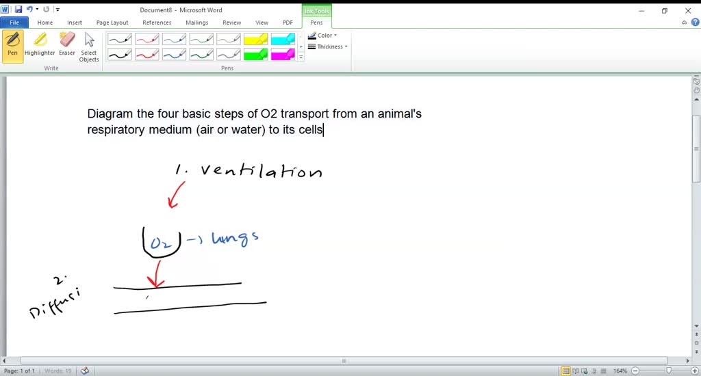 SOLVED:Diagram the four basic steps of O2 transport from an animal's ...