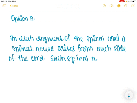 cell-bodies-of-neurons-bringing-afferent-information-into-the-spinal-cord-are-located-in-a-dorsal-ro