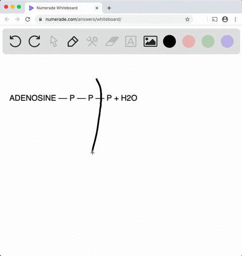 describe-three-stages-of-catabolism-and-the-role-of-atp-how-much-energy-is-obtained-from-the-hydroly