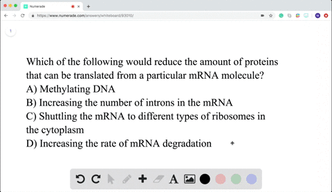 Regulation of Gene Expression | Campbell Biology Regulation of Gene Expression | Campbell Biology
