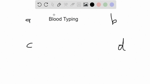 a-person-with-type-mathrmo-o-negative-blood-will-have-a-type-a-and-b-plasma-antibodies-b-type-a-and-