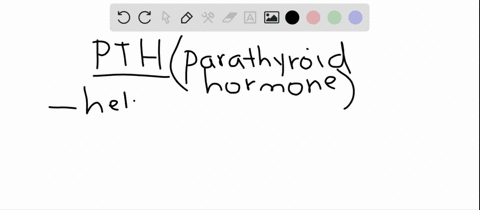 pth-a-stimulates-osteoblasts-to-lay-down-new-bone-b-reduces-blood-calcium-levels-c-stimulates-calcit