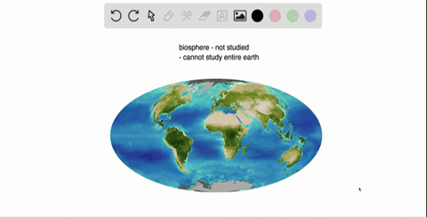 summarize-why-most-ecologists-do-not-study-the-biosphere-level-of-organization