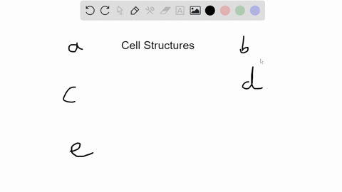 cells-lining-the-respiratory-passages-have-numerous-filamentous-structures-that-sweep-mucus-and-debr