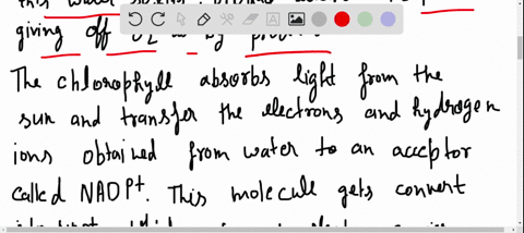 write-about-a-theme-energy-and-matter-life-is-solar-powered-almost-all-the-producers-of-the-biospher