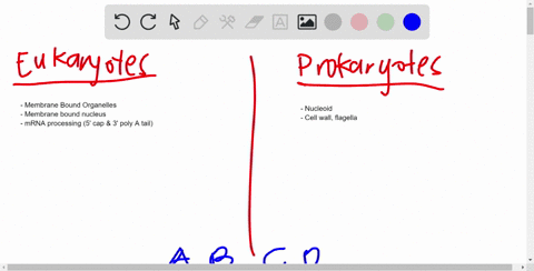 which-of-the-following-methods-of-gene-regulation-do-eukaryotes-and-prokaryotes-have-in-common-a-ela