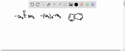 which-of-the-following-amino-acid-side-chains-can-form-an-imine-with-a-substrate-2