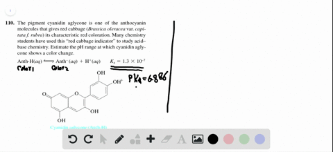 the-pigment-cyanidin-aglycone-is-one-of-the-anthocyanin-molecules-that-gives-red-cabbage-brassica-ol