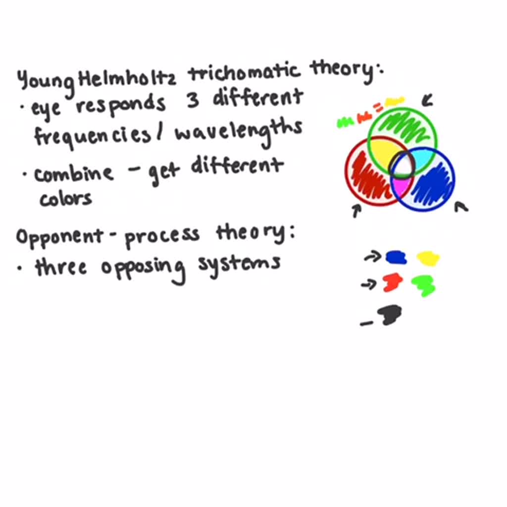 solved-compare-and-contrast-two-theories-of-color-vision-trichromat