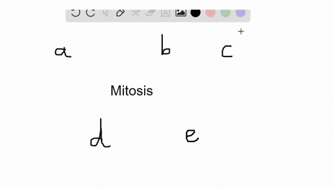 which-of-the-following-does-not-occur-by-mitosis-a-growth-b-production-of-gametes-c-repair-d-develop