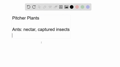based-on-the-background-information-presented-above-does-the-relationship-between-diving-ants-and-pi
