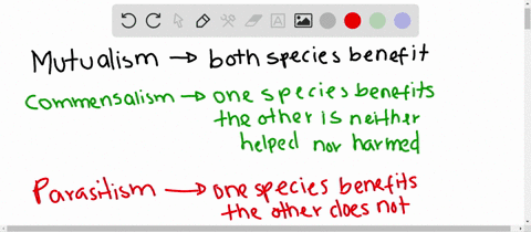 describe-three-types-of-symbiosis-chapter-2