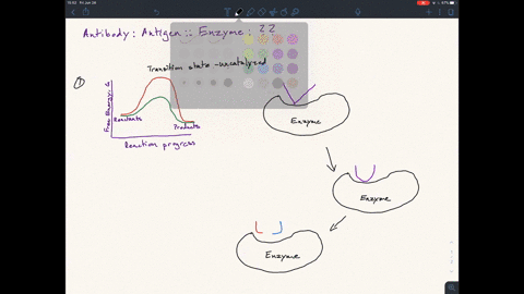 a-healthy-immune-system-can-raise-antibodies-that-recognize-and-bind-with-high-affinity-to-almost-an