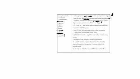 choose-the-phrase-from-the-right-column-that-best-fits-the-term-in-the-left-column-a-complementar-13