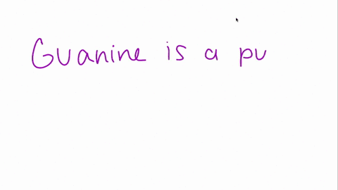 identify-each-of-the-following-bases-as-a-purine-or-a-pyrimidine-a-guanine