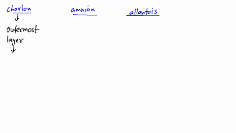 what-are-the-functions-of-the-amnion-chorion-and-allantois-in-birds-and-mammals
