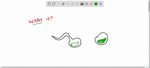 what-would-the-results-of-pasteurs-swan-neck-flask-experiment-have-looked-like-if-they-supported-the