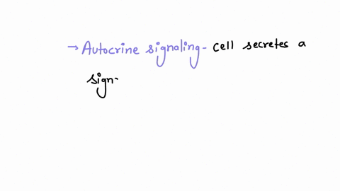 when-a-cell-secretes-a-signaling-molecule-that-binds-to-receptors-on-neighboring-cells-as-well-as-th