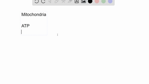 describe-the-role-of-mitochondria-in-eukaryotic-cells-chapter-7