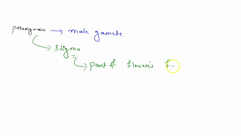 the-arrival-of-pollen-grains-on-a-receptive-stigma-is-called-_______-a-germination-c-pollination-b-f