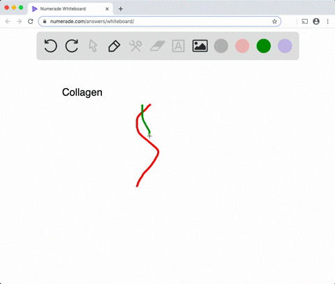 describe-the-secondary-structure-of-the-protein-collagen