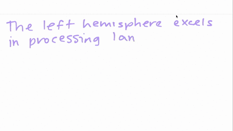 the-study-of-split-brain-patients-has-allowed-us-to-observe-the-special-functions-of-each-hemisphere