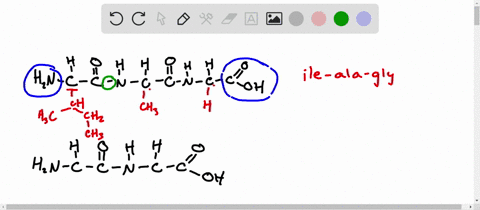 given-the-formulas-of-the-common-amino-acids-in-figure-212-sketch-the-structures-of-the-following-si