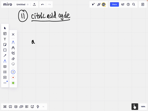 what-is-the-citric-acid-cycle-and-why-is-it-important-to-organisms-2