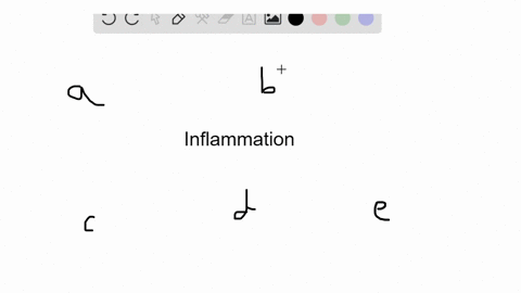 during-the-inflammatory-response-a-mathrmt-cells-move-to-the-site-of-injury-b-capillaries-become-con