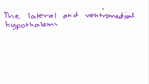 which-aspects-of-hunger-are-controlled-by-the-lateral-and-ventromedial-hypothalamus-a-contraction-an