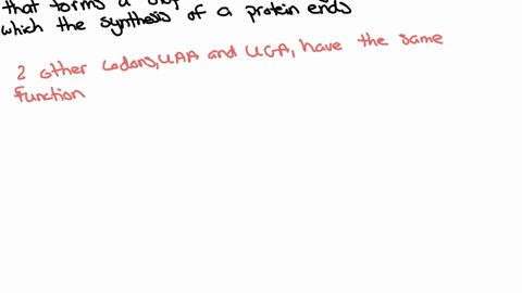 which-amino-acids-are-specified-by-codons-that-can-be-changed-to-an-amber-codon-by-a-single-point-mu