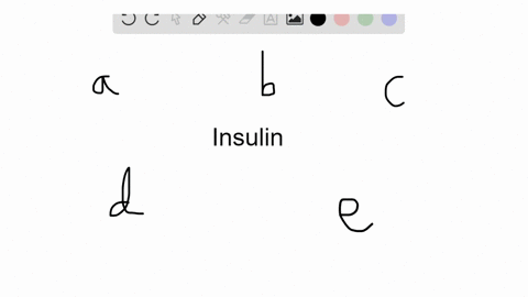 which-of-the-following-correctly-describes-the-hormone-insulin-a-it-is-produced-by-mathrmb-cells-in-