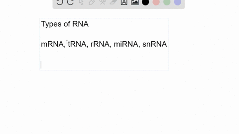 what-five-types-of-rna-molecules-participate-in-the-process-of-gene-expression-what-are-the-function