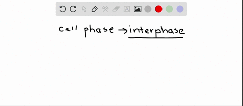 interphase-is-the-part-of-the-cell-cycle-when-______________-a-a-cell-ceases-to-function-b-the-spind