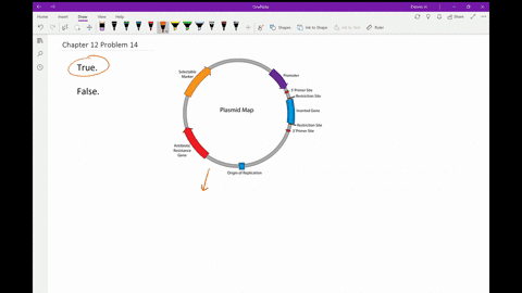 truefalse-it-is-generally-easier-to-introduce-recombinant-dna-into-prokaryotic-cells-than-into-eukar