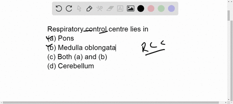 respiratory-control-centre-lies-in-a-pons-b-medulla-oblongata-c-both-a-and-b-d-cerebellum