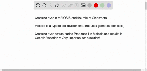 describe-crossing-over-at-which-stage-of-meiosis-does-it-occur-name-two-functions-of-chiasmata