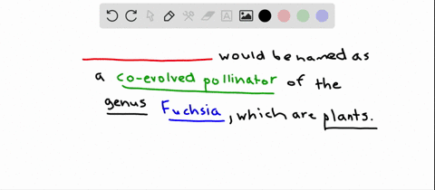 plants-of-the-genus-fuchsia-produce-deep-pink-to-red-flowers-that-dangle-from-plants-produce-nectar-