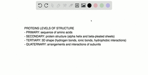 which-of-the-following-bonds-are-not-involved-in-tertiary-structure-a-peptide-bonds-b-ionic-bonds-c-