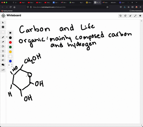 the-versatility-of-carbon-that-allows-it-to-serve-as-the-backbone-for-a-variety-of-different-molecul
