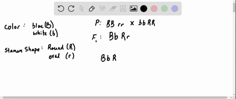 two-genes-of-a-flower-one-controlling-blue-b-versus-white-b-petals-and-the-other-controlling-round-r