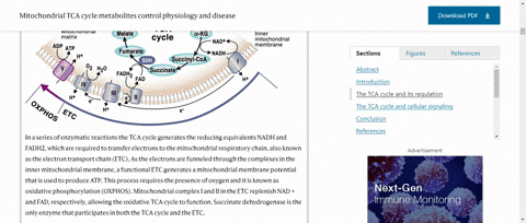 why-is-the-citric-acid-cycle-central-to-biosynthetic-pathways-as-well-as-to-catabolism-3