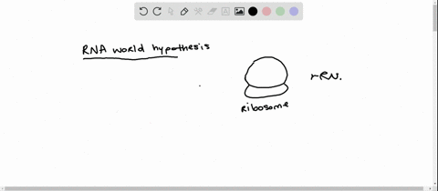 an-rna-that-functions-as-an-enzyme-is-a-______-a-protein-b-protocell-c-ribosome-d-ribozyme